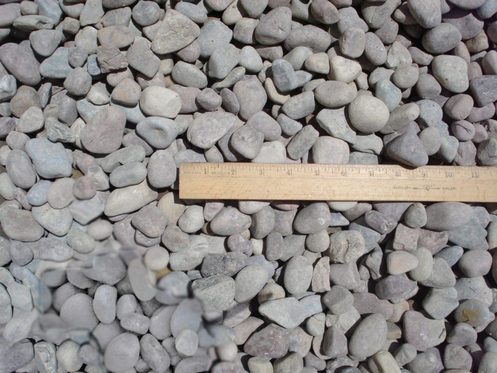 1 ½ Pami - Aptos Landscape Supply